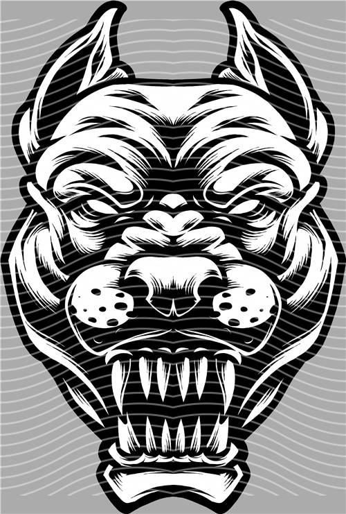 Street design-JT 4666